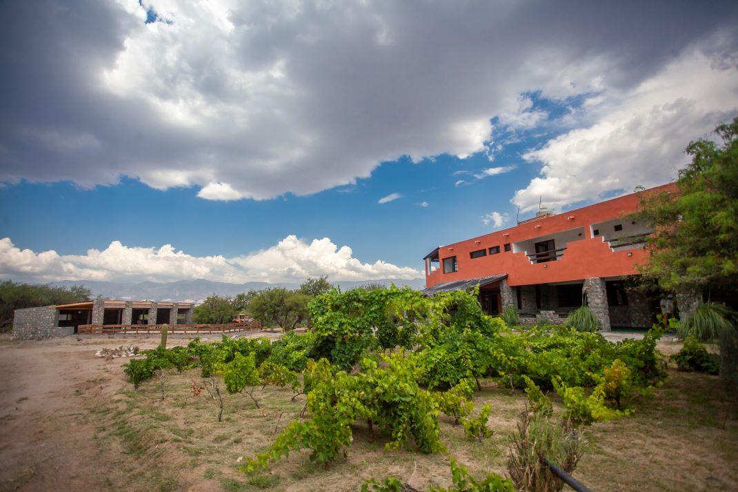 Finca Viñas del Chañar